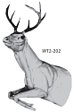 WT2-202